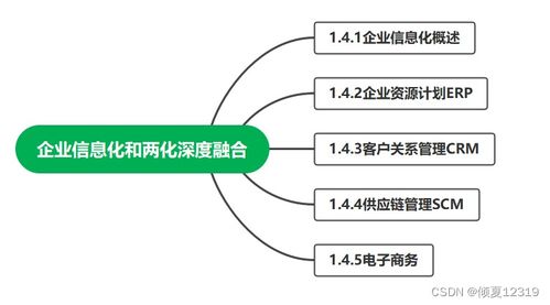 系統(tǒng)集成項(xiàng)目管理工程師 第1章 信息化知識——企業(yè)信息化工程要點(diǎn)解析